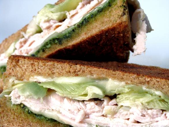 AK Fusion Panini