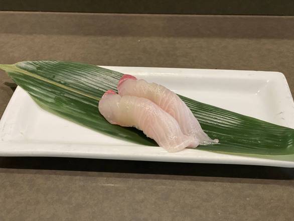 Amber Jack From Japan (Kanpachi)