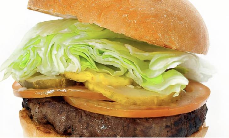 Bison Burger