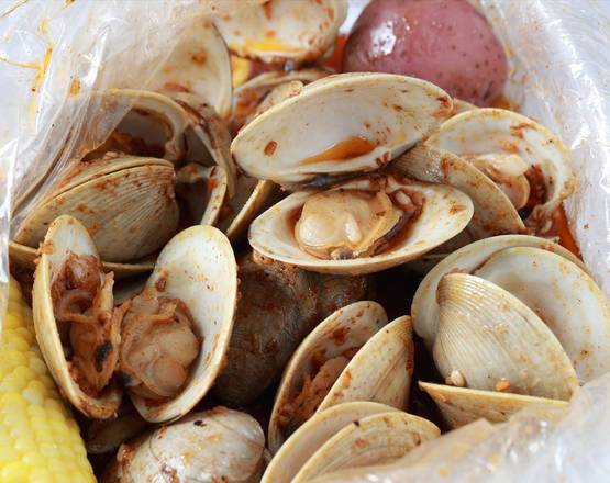 Clams
