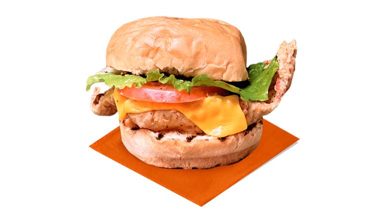 Deluxe Crispy Burger
