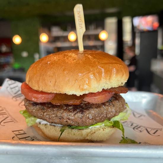 Elemental Burger