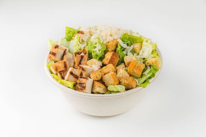 Grilled Chicken Caesar Salad