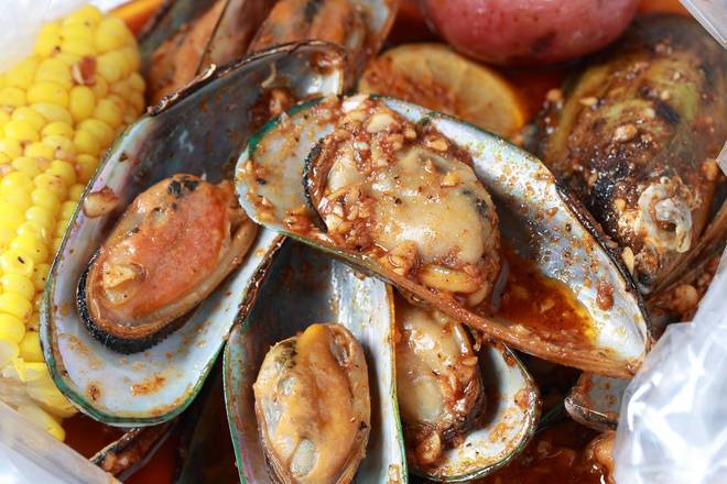 Mussels