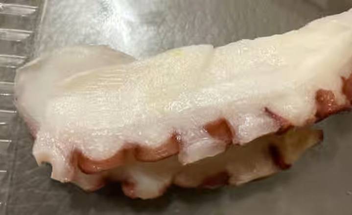 N9.Octopus