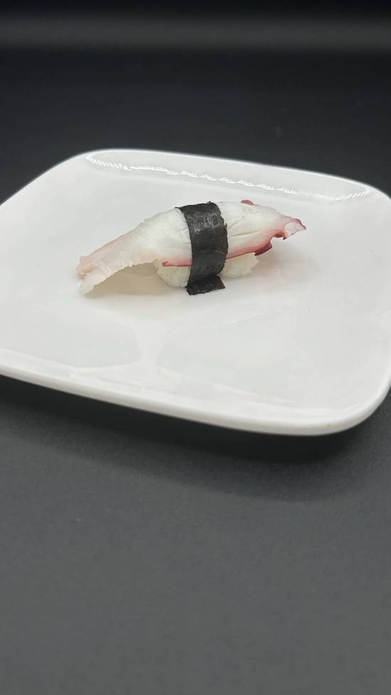 Octopus / Tako
