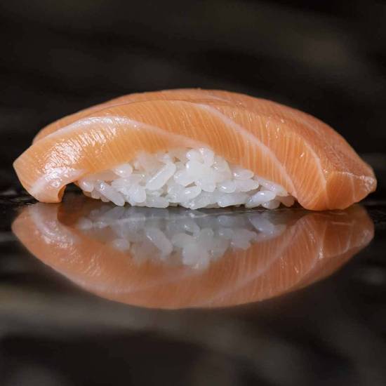 Salmon