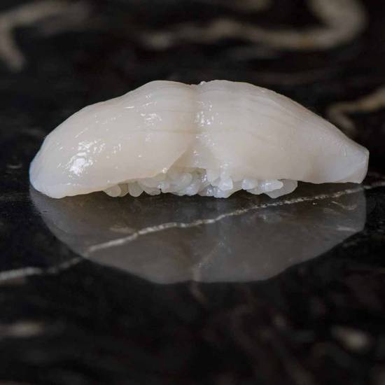 Scallop