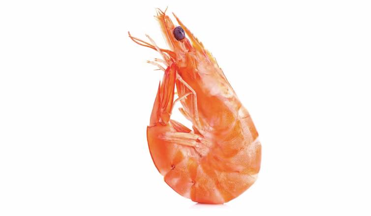 Shrimp ( Head On )