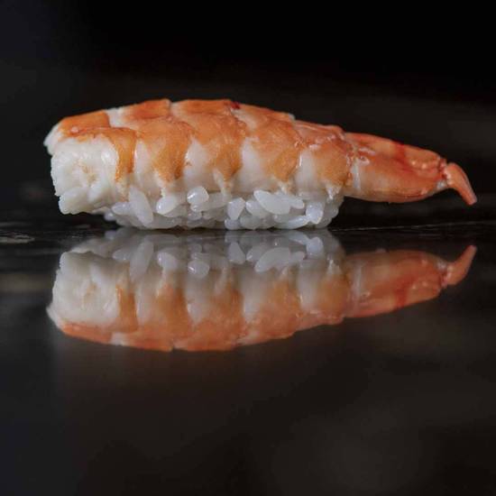 Shrimp