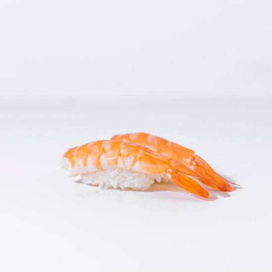 Shrimp