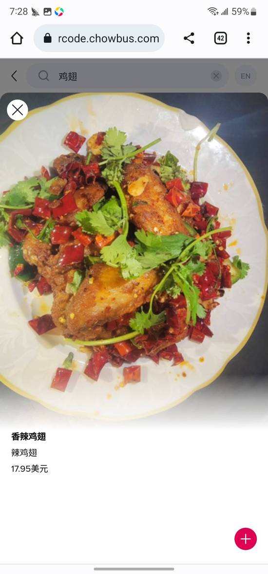 Spicy Chicken Wings 香辣鸡翅