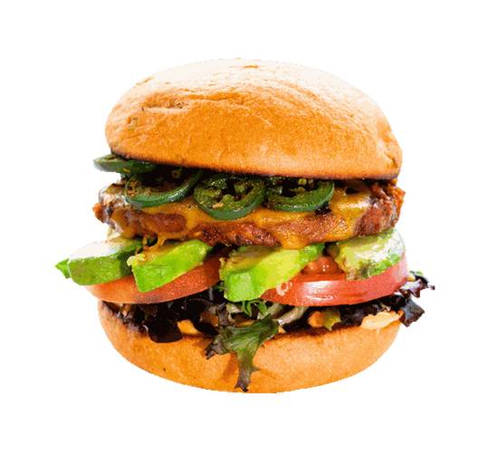 Spicy Garden Burger