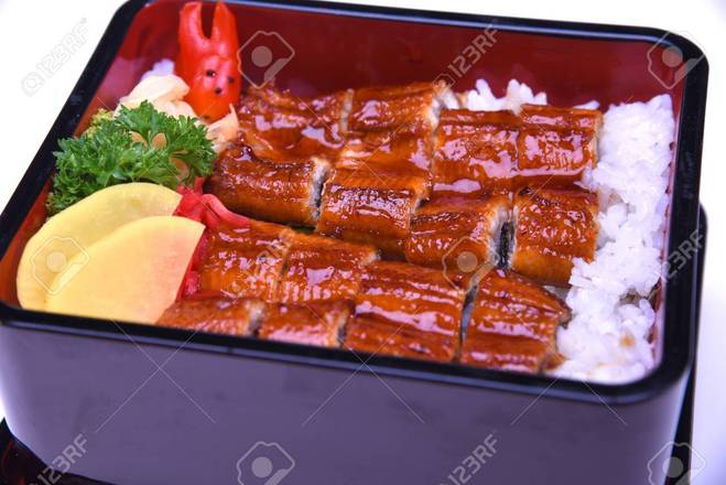Unagi Don