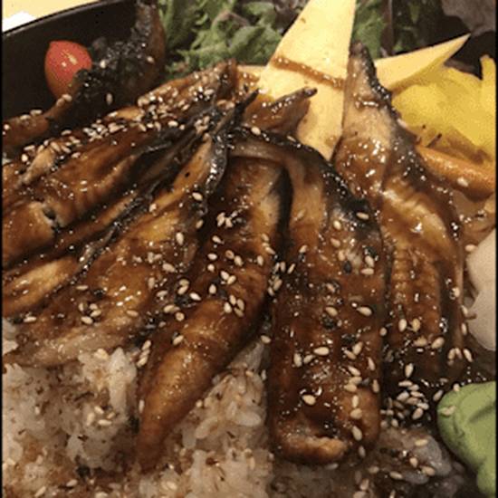 Unagi Don